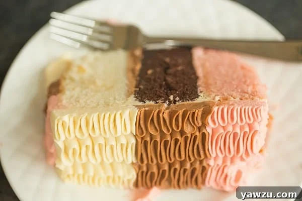 Elegant Neapolitan Cake with Ruffle Frosting Detail