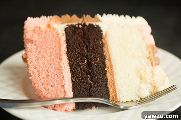 Close-up of Neapolitan Cake Showing Layers and Frosting