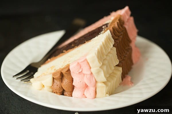 Slice of Neapolitan Cake Revealing Three Distinct Layers