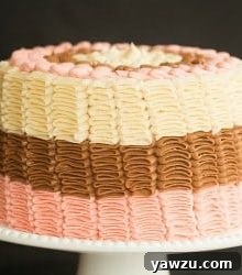 Neapolitan Cake - Layers of Strawberry, Chocolate, and Vanilla