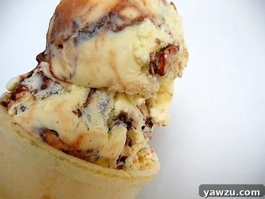 A close-up of a scoop of Tin Roof Ice Cream in a bowl, highlighting the texture and mix-ins.