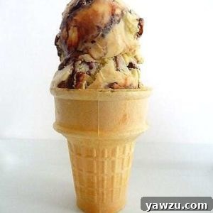 Ice cream cone with 2 scoops of tin roof ice cream.