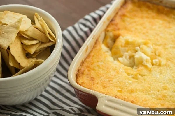 Serving Vidalia Onion Dip with a variety of dippers like pita chips.