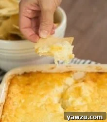 Finished Vidalia Onion Dip, golden and cheesy.