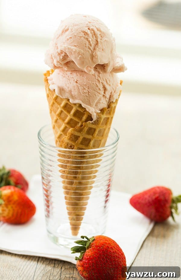 Roasted Strawberry & Buttermilk Ice Cream | browneyedbaker.com #recipe