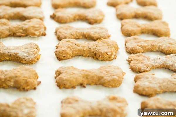 Close-up of Homemade Peanut Butter-Bacon Dog Treats cooling on a rack