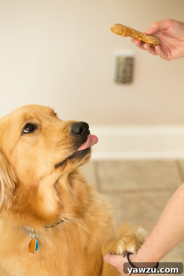Freshly baked homemade peanut butter and bacon dog treats
