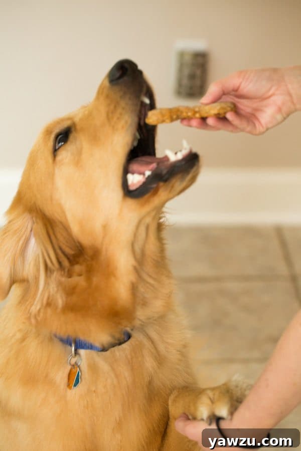 Homemade Peanut Butter-Bacon Dog Treats stacked on a wire rack