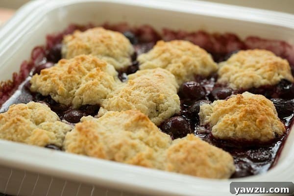 Cherry Cobbler | browneyedbaker.com #recipe