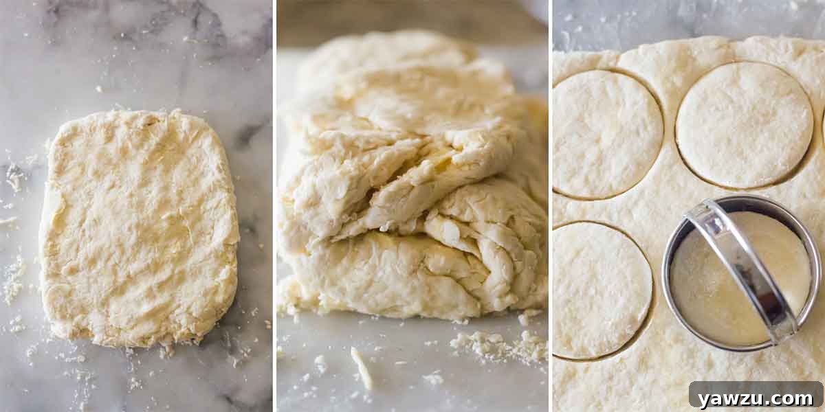 Photos of biscuit dough being folded, patted into a rectangle, and rounds cut out of the dough.