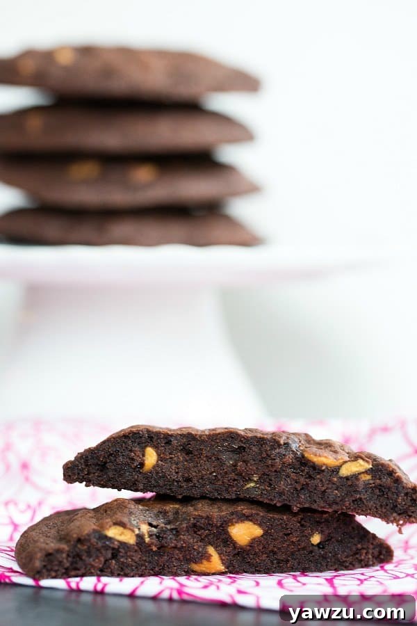 Close-up of a Giant Chocolate Peanut Butter Chip Cookie broken in half, showcasing its thick, fudgy, and peanut-butter-chip-studded interior