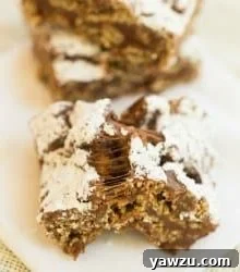 Muddy Buddy Cereal Treats