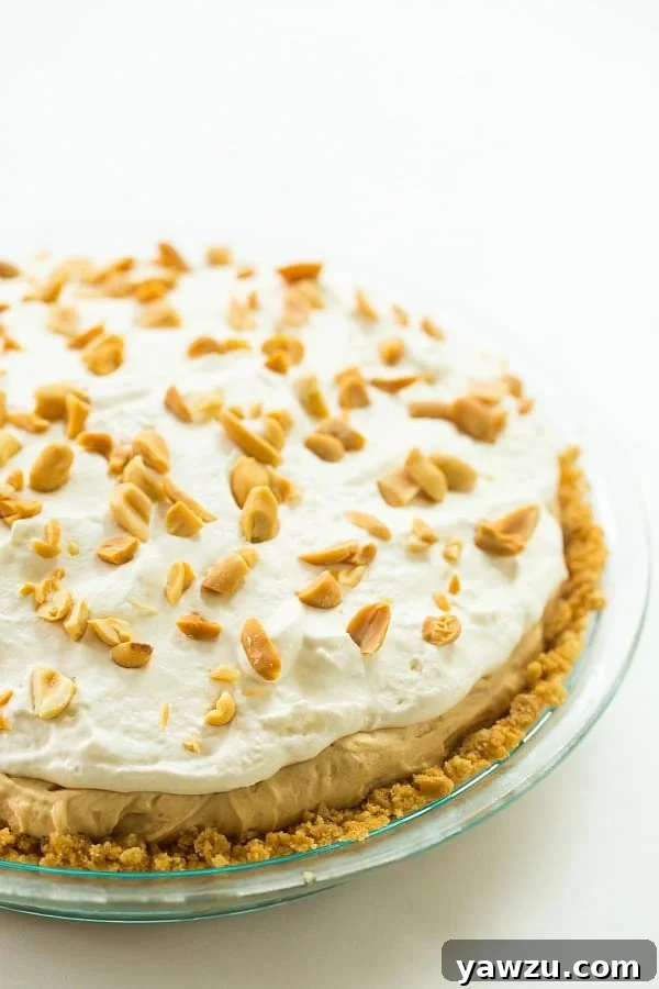 No-Bake Peanut Butter Lover's Pie