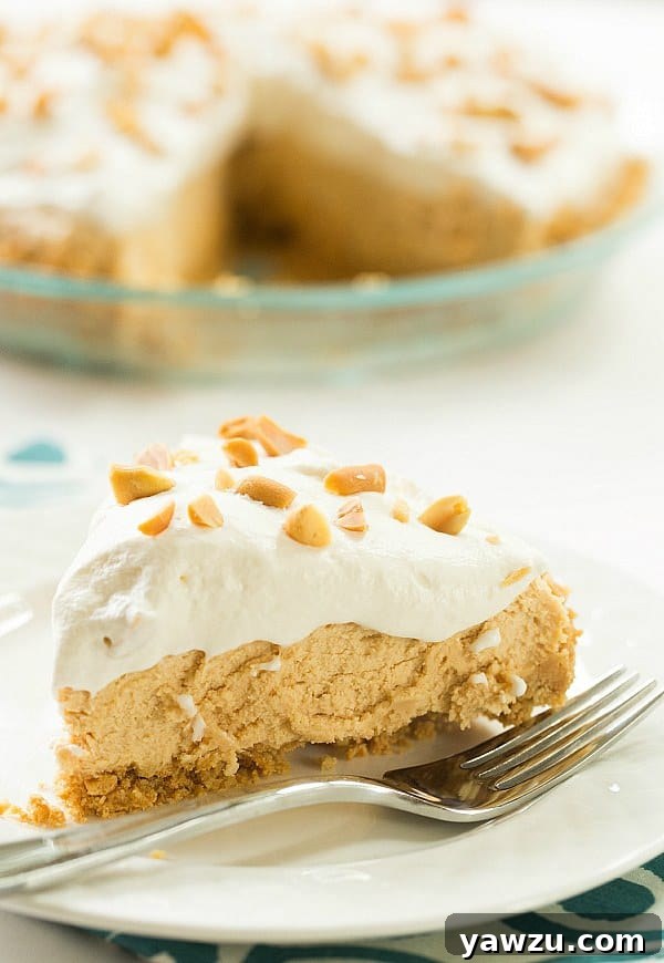 No-Bake Peanut Butter Lover's Pie