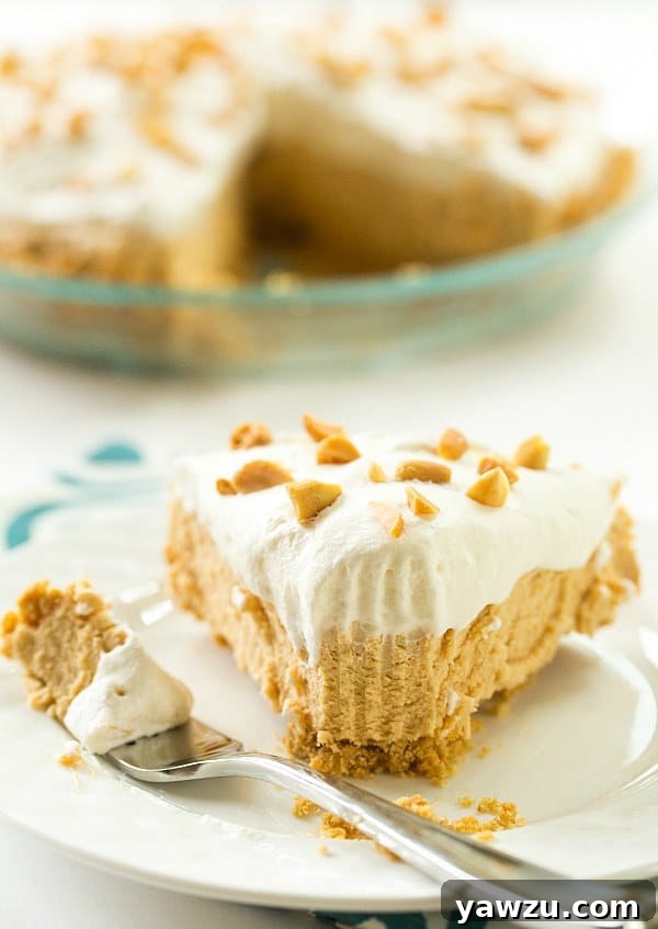 No-Bake Peanut Butter Lover's Pie