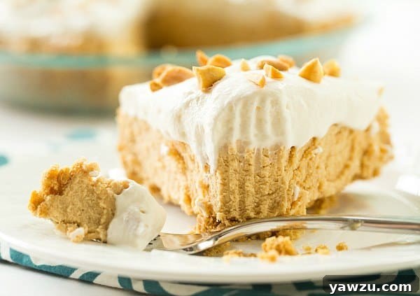 No-Bake Peanut Butter Lover's Pie