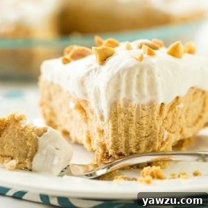 No-Bake Peanut Butter Lover's Pie