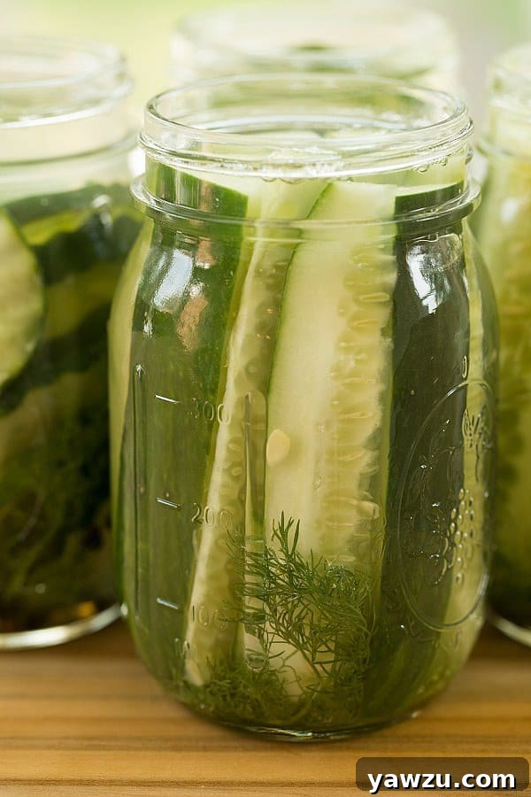 Ready-to-Eat Refrigerator Dill Pickles in Jars