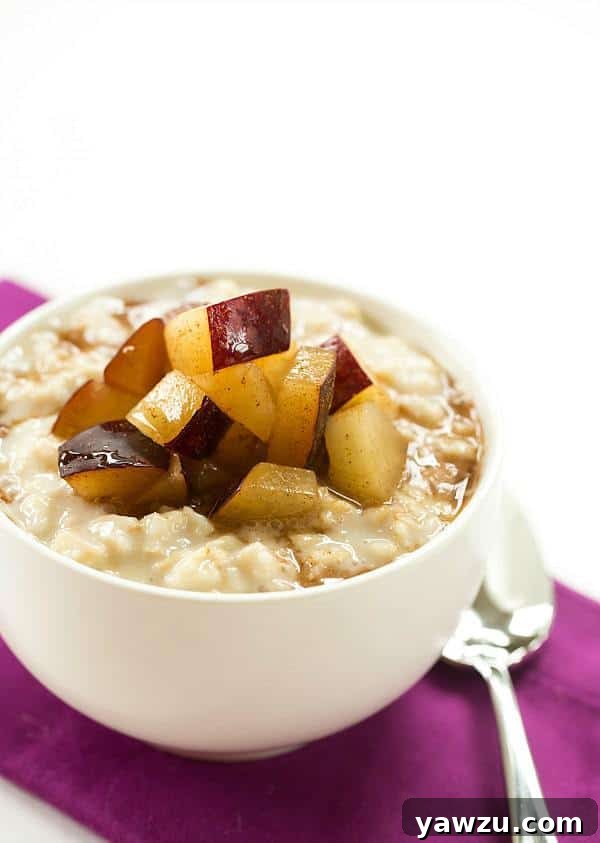 Delicious Overnight Chilled Plum-Oatmeal Pudding for a Refreshing Breakfast