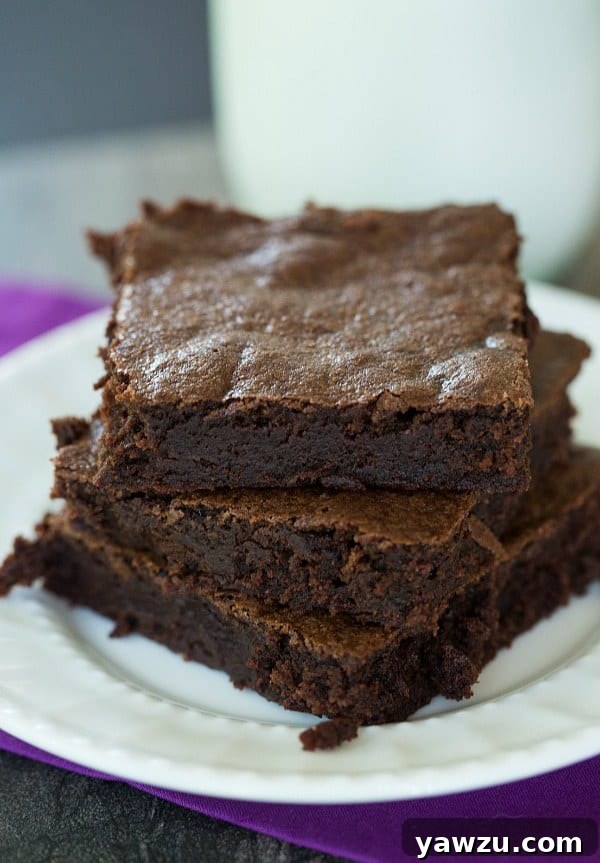 Rich and Fudgy Zingerman's Black Magic Brownies