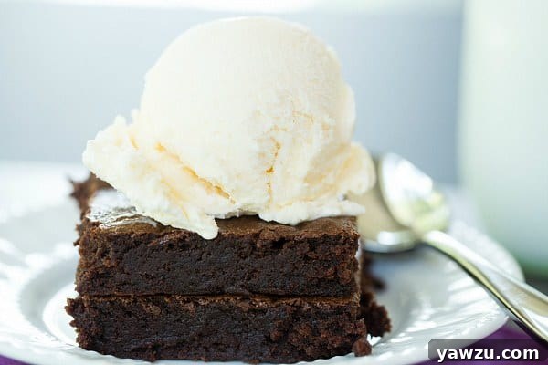 A plate of two Zingerman's Black Magic Brownies