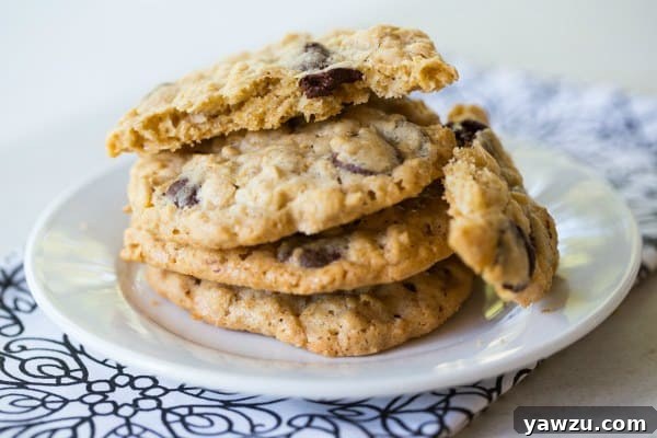 Irresistible Oatmeal Dark Chocolate & Coconut Cookies on a cooling rack