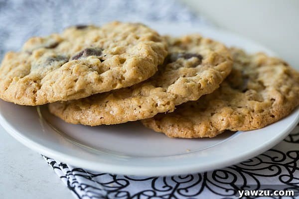 A plate of freshly baked Oatmeal Dark Chocolate & Coconut Cookies