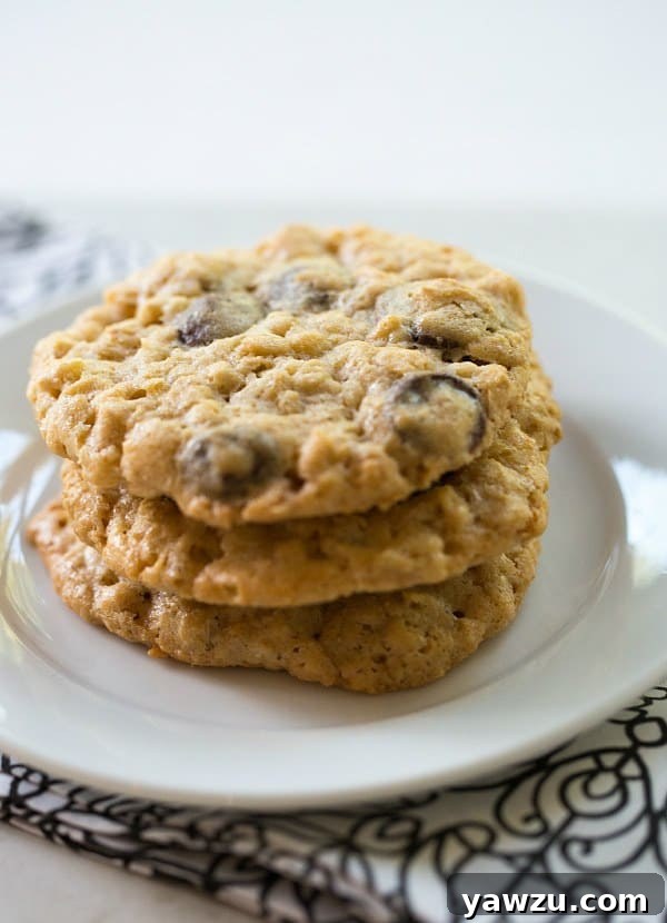 Stacked Oatmeal Dark Chocolate & Coconut Cookies on a cooling rack