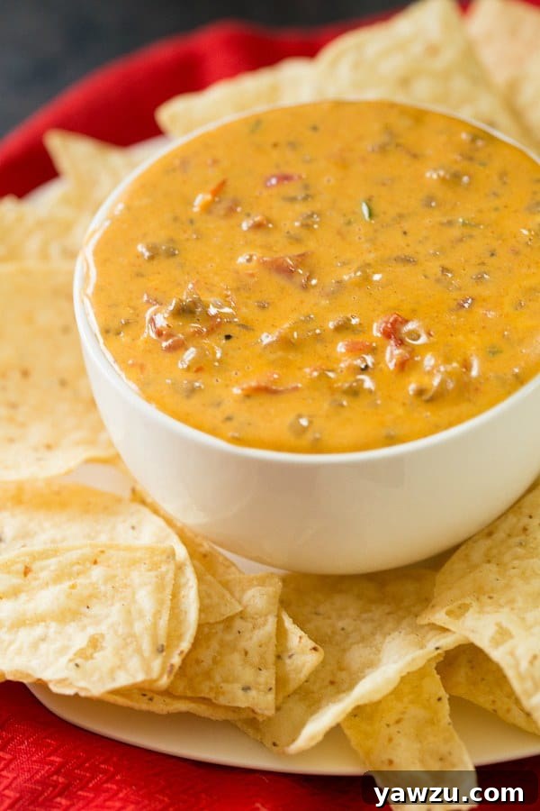Crock-Pot Spicy Beef Queso Dip ready to serve