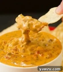 Crock-Pot Spicy Beef Queso Dip