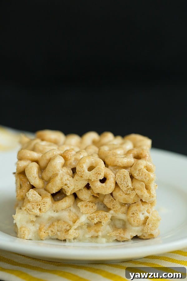 Close-up of Honey Nut Cheerios and Banana Marshmallow Treat texture, showing the golden cereal and soft marshmallow.