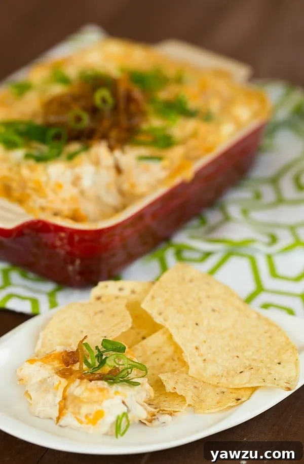 Delicious Creamy Caramelized Onion and Roasted Garlic Dip with crackers