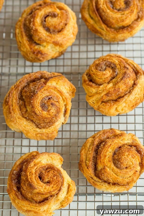 Delightful Morning Buns: A Perfect Croissant-Cinnamon Roll Hybrid #recipe
