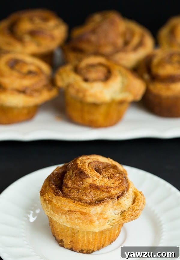 Flaky Morning Buns with Citrus Zest | Easy Make-Ahead Recipe #pastry