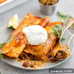 Shredded Beef Enchiladas