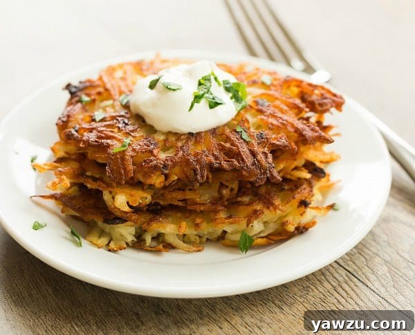 A close-up of two crispy potato latkes, showing their textured, golden-brown surface.