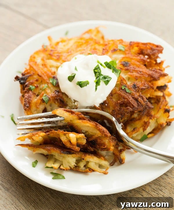 Crispy Potato Latkes beautifully arranged on a white plate, garnished with fresh parsley and served with a side of sour cream.