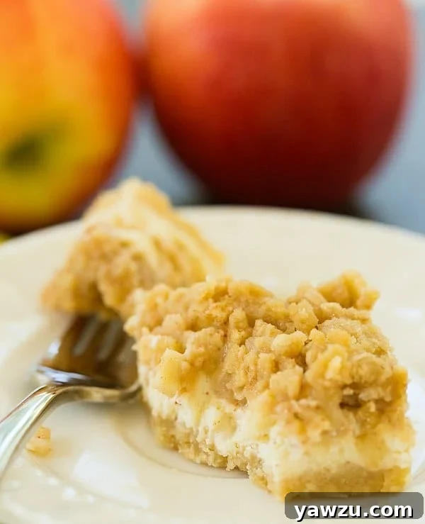 Homemade Cheesecake Bars with Spiced Apples and Crumb Topping