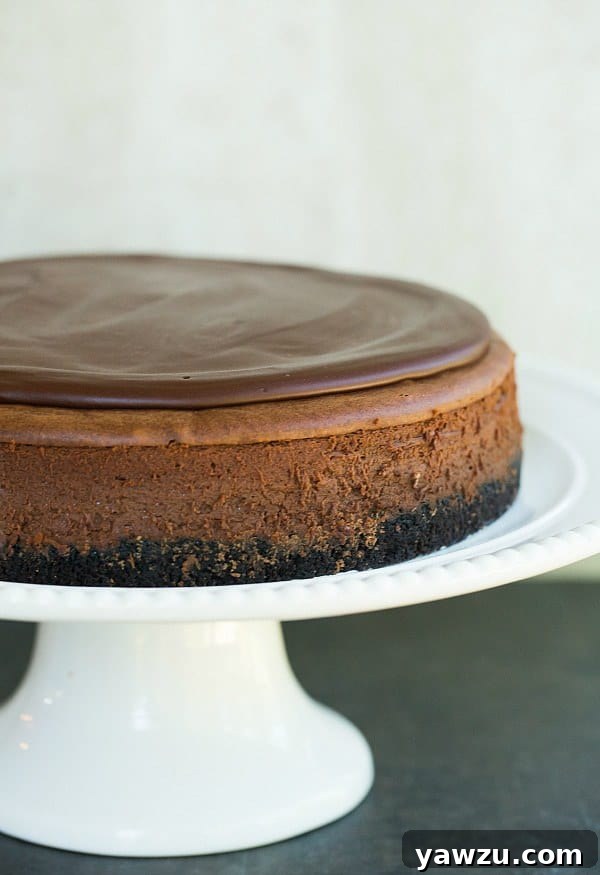 Decadent Chocolate Lover's Cheesecake: An Irresistible Dessert Recipe