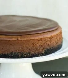 Chocolate Lover's Cheesecake