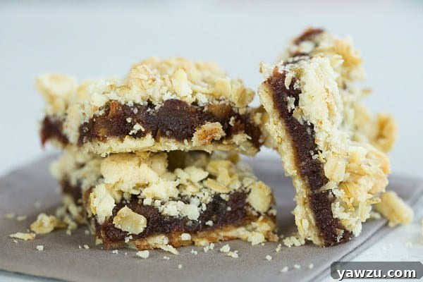 Close-up of a perfectly baked Maple-Date Bar, showing the golden oat crumble and rich date filling.