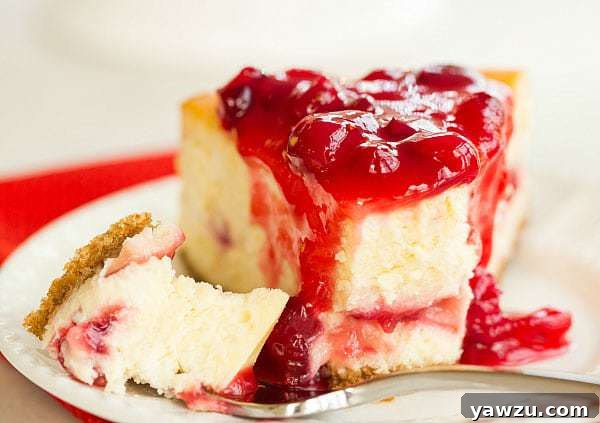 A close-up shot of a Cranberry-Eggnog Cheesecake slice, showing the thick, spiced graham cracker crust, the rich, creamy eggnog filling, and a generous layer of glistening cranberry topping.