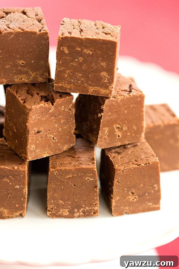 Close-up of a piece of creamy chocolate fudge with a rich, dark color