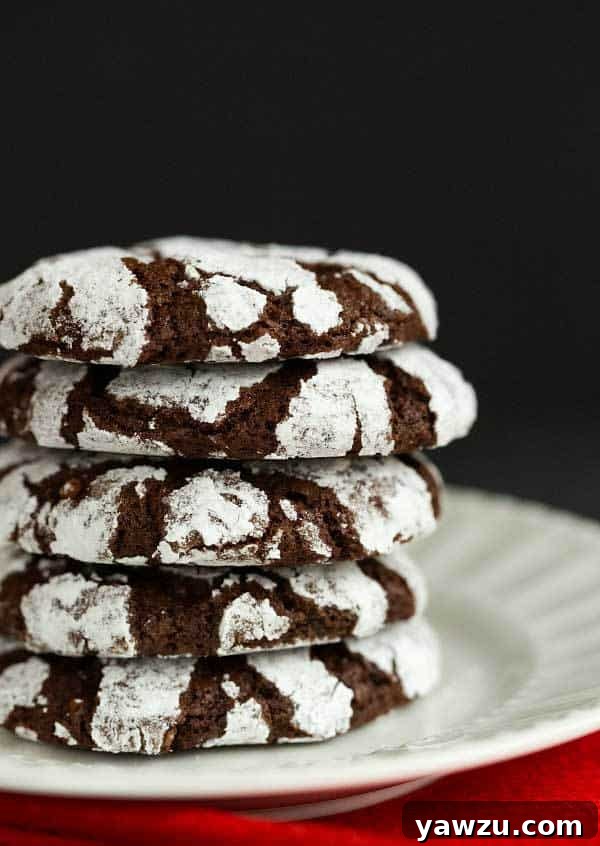 Chocolate Crinkle Cookies - A classic Christmas cookie and a holiday must-make! | browneyedbaker.com
