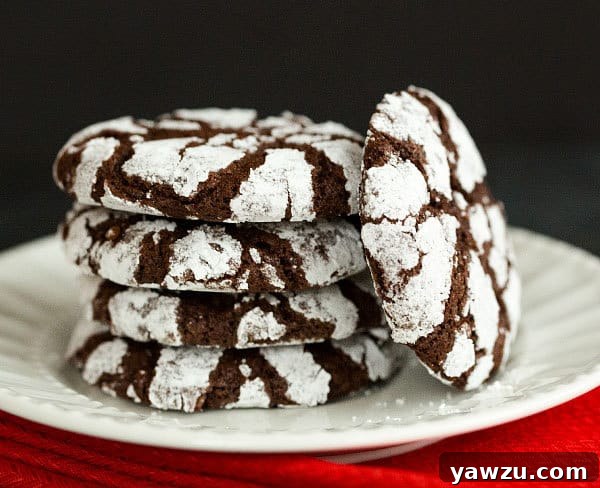 Chocolate Crinkle Cookies - Fudge-like texture with a beautiful powdered sugar coating for the holidays.