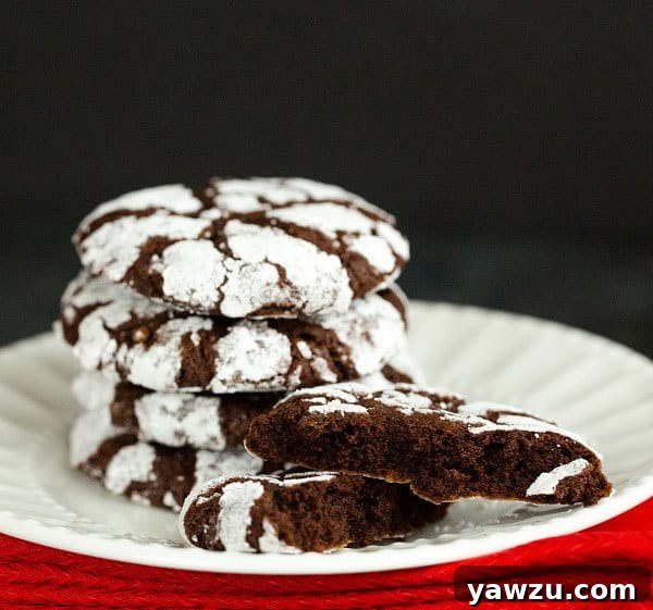 Chocolate Crinkle Cookies - Close-up of the delicious cracked powdered sugar coating.