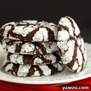 Chocolate Crinkle Cookies - A classic Christmas cookie and a holiday must-make!