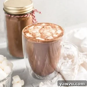 A square image depicting the Homemade Hot Chocolate Mix, inviting and rich in color.