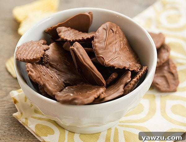 Delicious Chocolate-Dipped Ridged Potato Chips