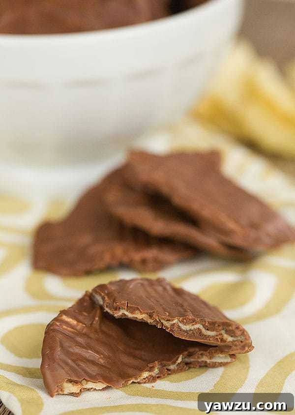 Close-up of Homemade Chocolate-Covered Potato Chips
